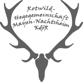 logo 2026